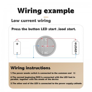 19MM custom laser logo design waterproof ip67 blue led momentary push button switch for car