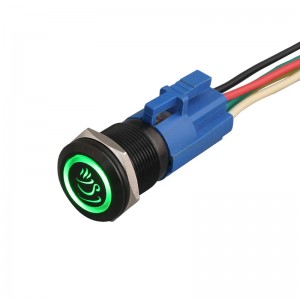 定制按鈕 19 毫米不銹鋼黑殼綠色 LED 燈照明按鈕開關 IP67 帶連接器