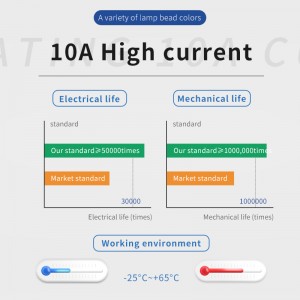 22mm Momentary Push Button Switch Waterproof Illuminated 1NO1NC 10A Customized by Leading Chinese Manufacturer