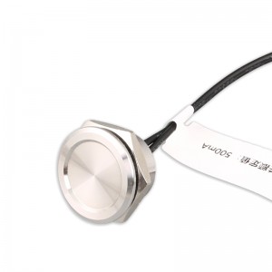 pizeo switch metal flat head waterproof ip68 pushbutton 1no without LED