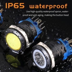 22mm Plastic Illuminated Switch SPDT Momentary push button Waterproof 1NO1NC by china Supplier and Factory