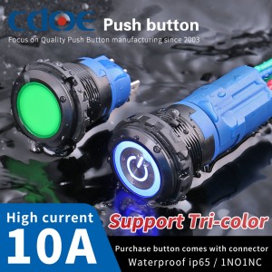 22mm Momentary Push Button Switch Waterproof Illuminated 1NO1NC 10A Customized by Leading Chinese Manufacturer