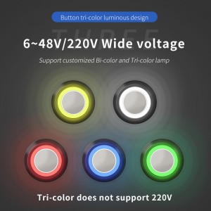 22mm Momentary Push Button Switch Waterproof Illuminated 1NO1NC 10A Customized by Leading Chinese Manufacturer