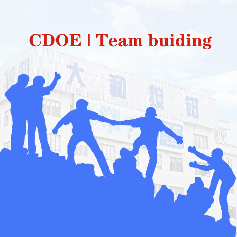 Where are we at this year’s team building event?