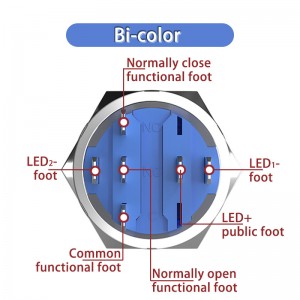 bicolore