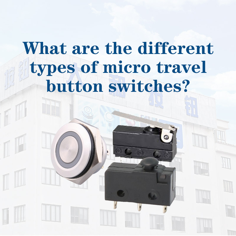 What are the different micro switches types?