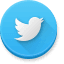 yueqing CDOE twitter