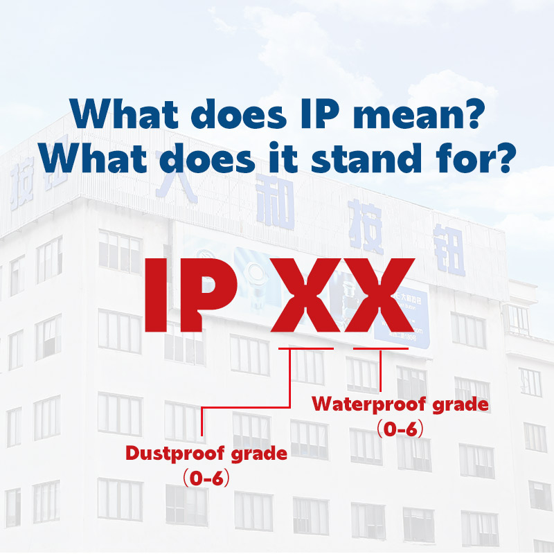 What does IP mean? What does it stand for?